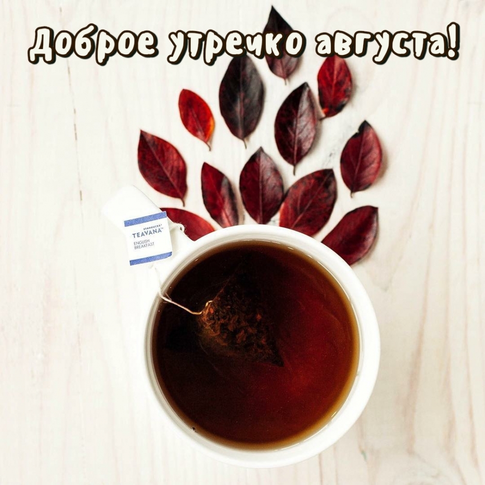 Доброе утречко августа!