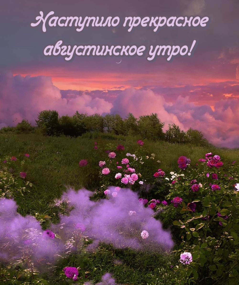 Наступило прекрасное августинское утро!