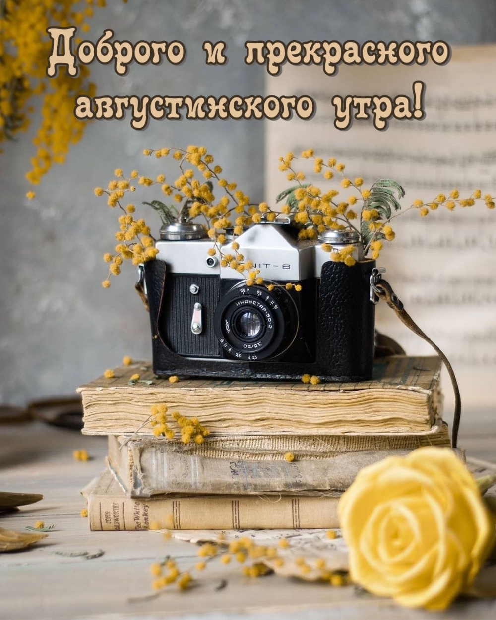 Доброго и прекрасного августинского утра!