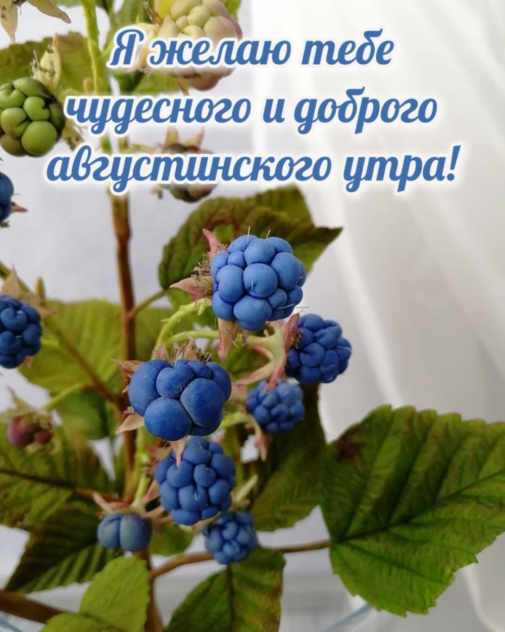 Я желаю тебе чудесного и доброго августинского утра!
