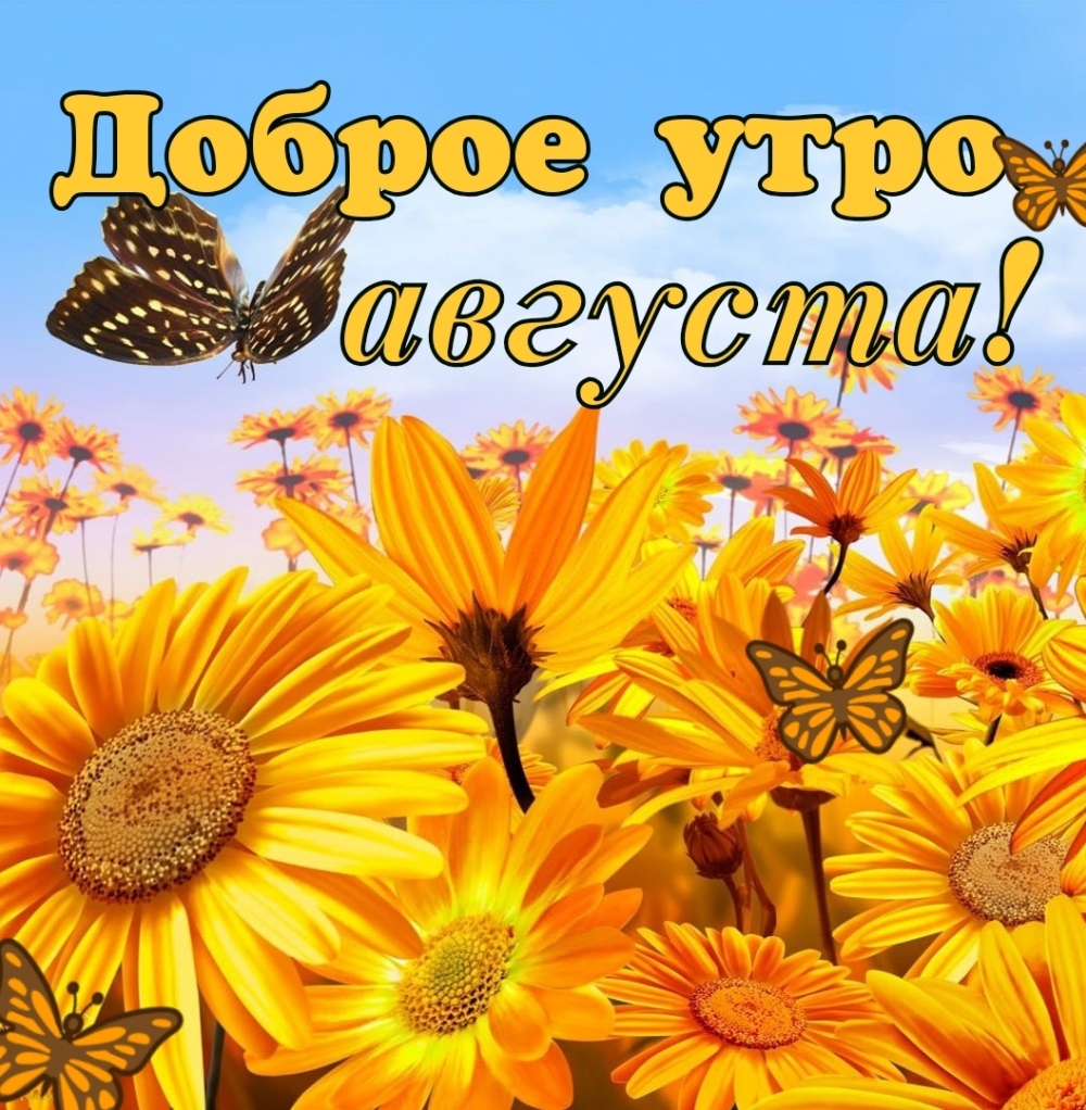 Доброе утро августа!