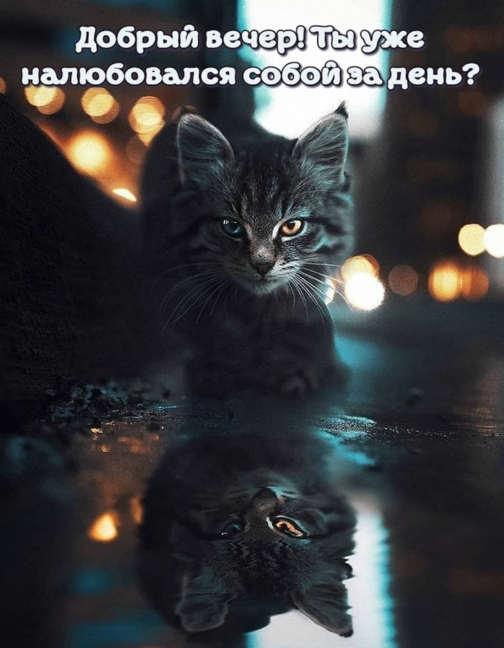 Добрый вечер! Ты уже налюбовался собой за день?