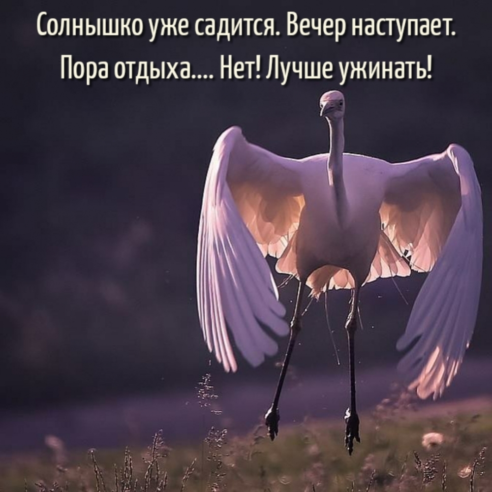 Солнышко уже садится. Вечер наступает.