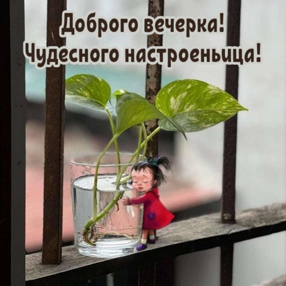 Доброго вечерка! Чудесного настроеньица!