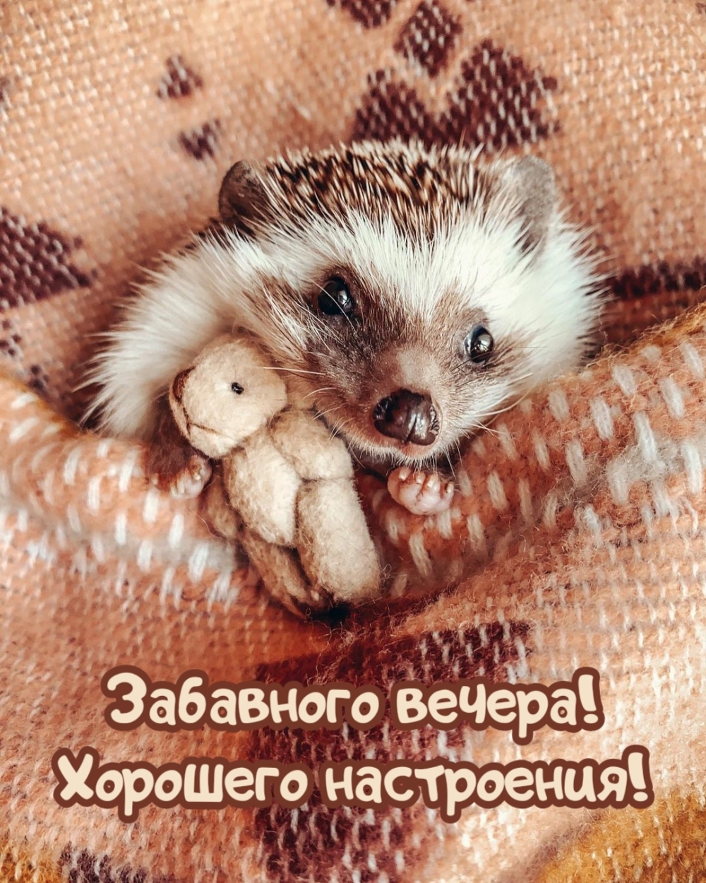 Забавного вечера! Хорошего настроения!