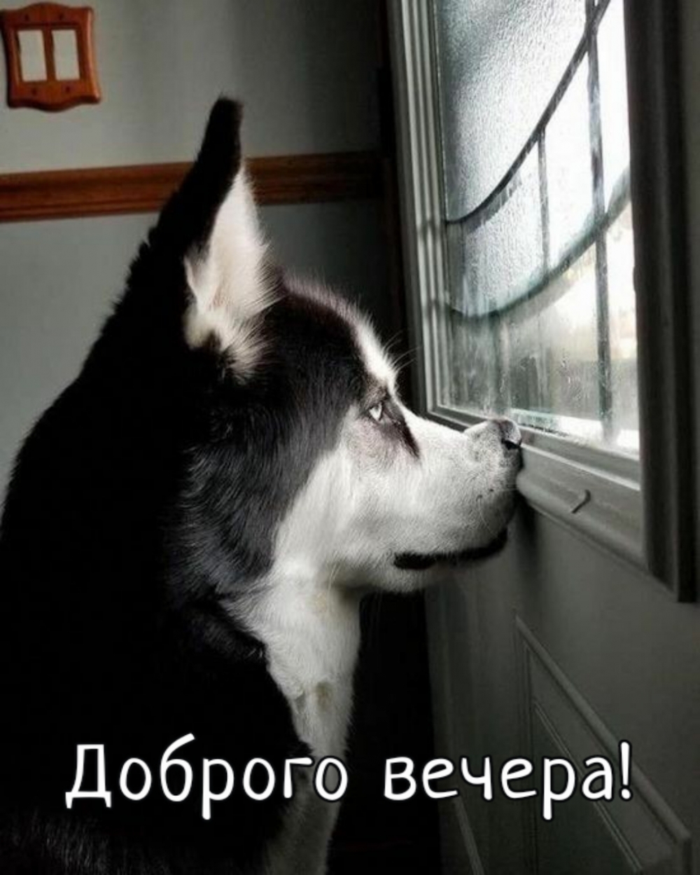 Доброго вечера!