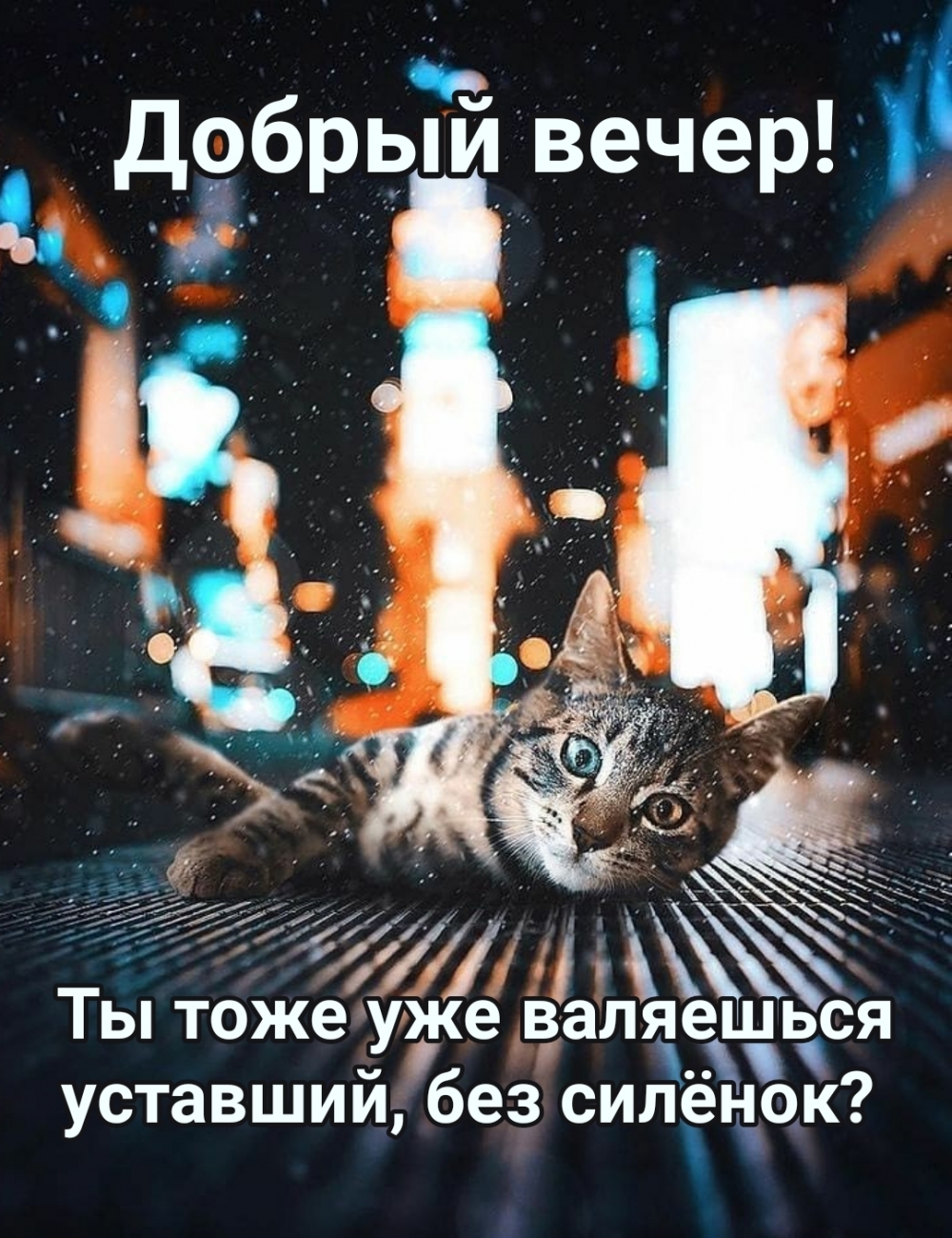 Ты тоже уже валяешься уставший, без силёнок? Добрый вечер!