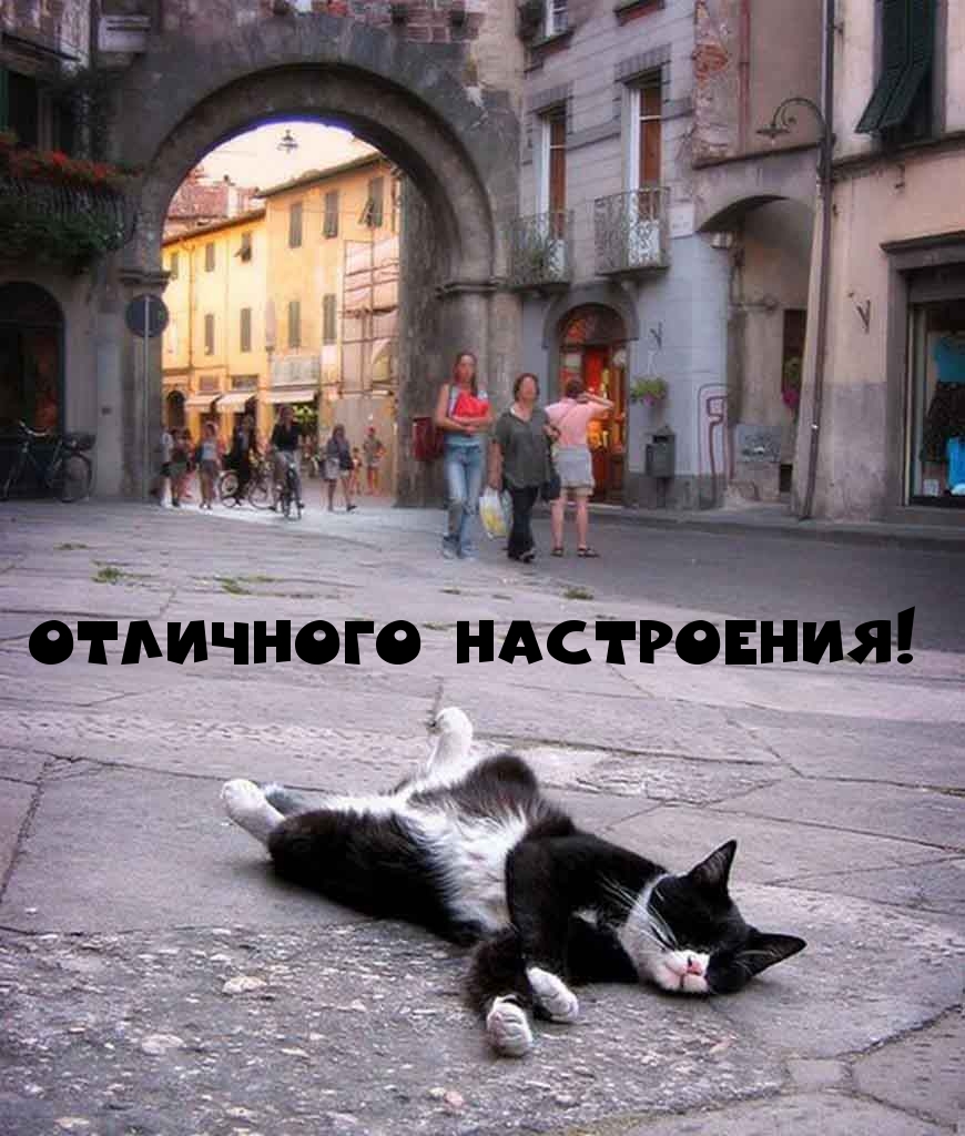 Отличного настроения!