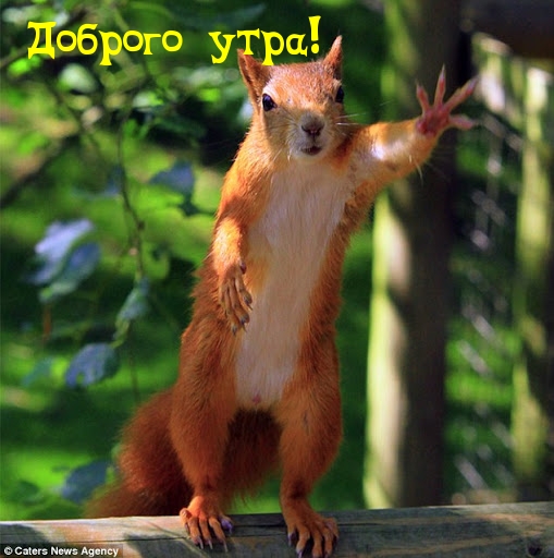 Доброго утра!