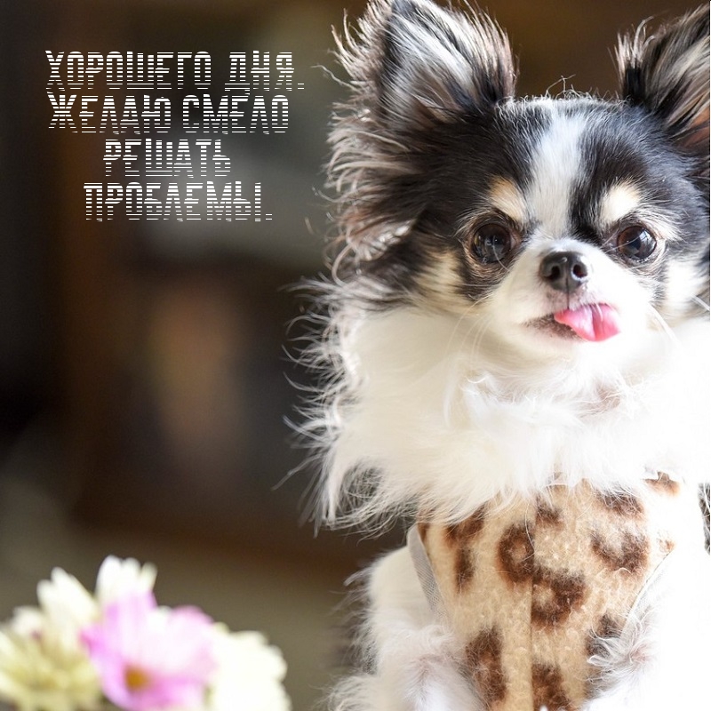 Хорошего дня. Желаю смело решать проблемы.