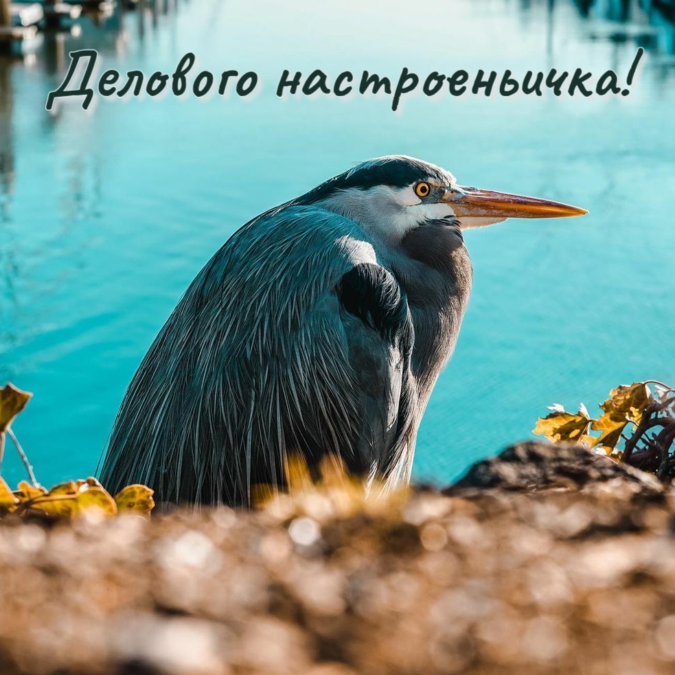 Делового настроеньичка!