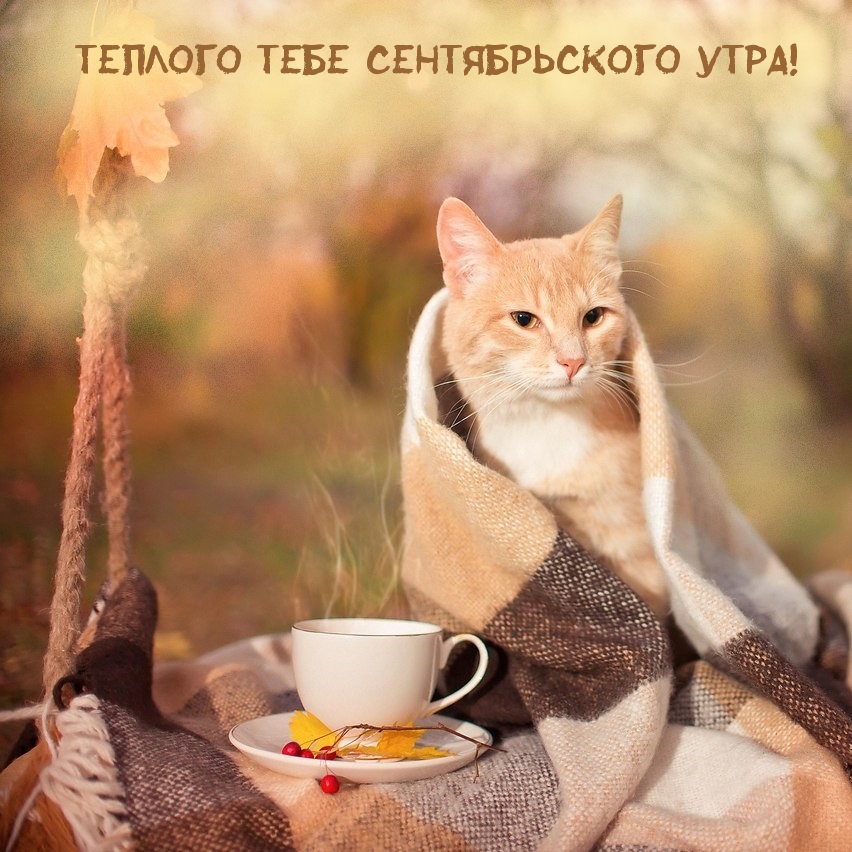 теплого тебе сентябрьского утра!