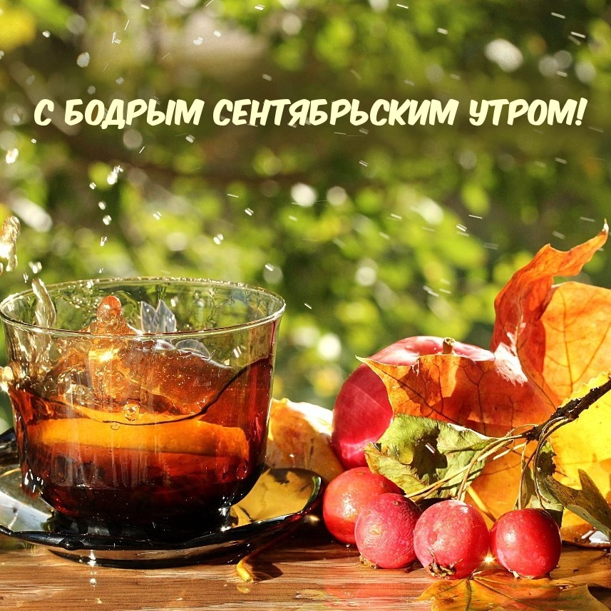 С бодрым сентябрьским утром!