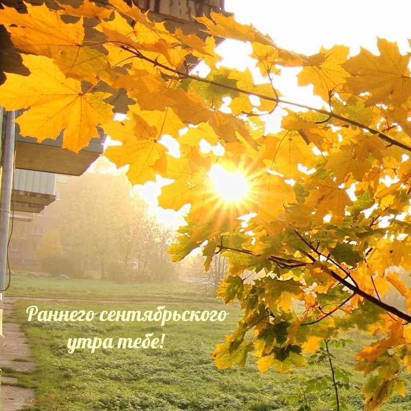 Раннего сентябрьского утра тебе!