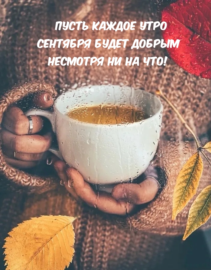 Пусть каждое утро сентября будет добрым несмотря ни на что!
