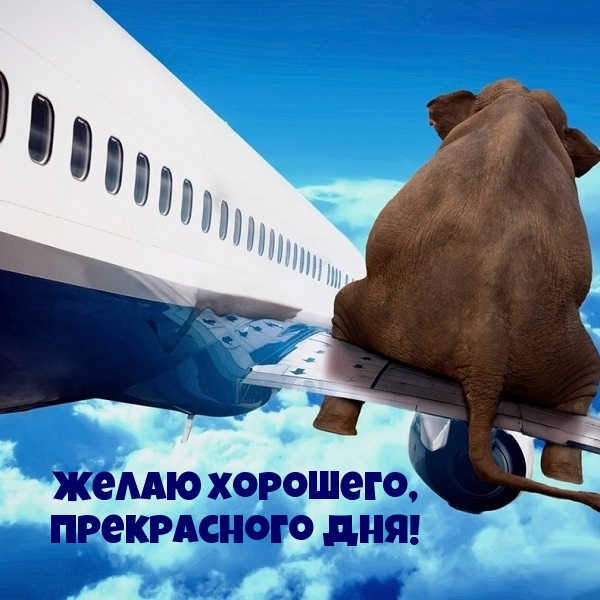 Желаю хорошего, прекрасного дня!
