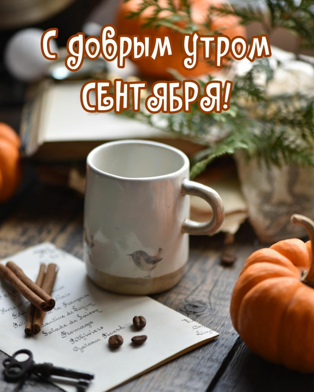 С добрым утром сентября!