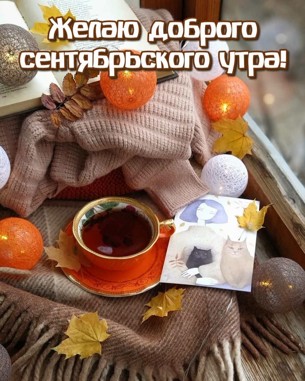 Желаю доброго сентябрьского утра!