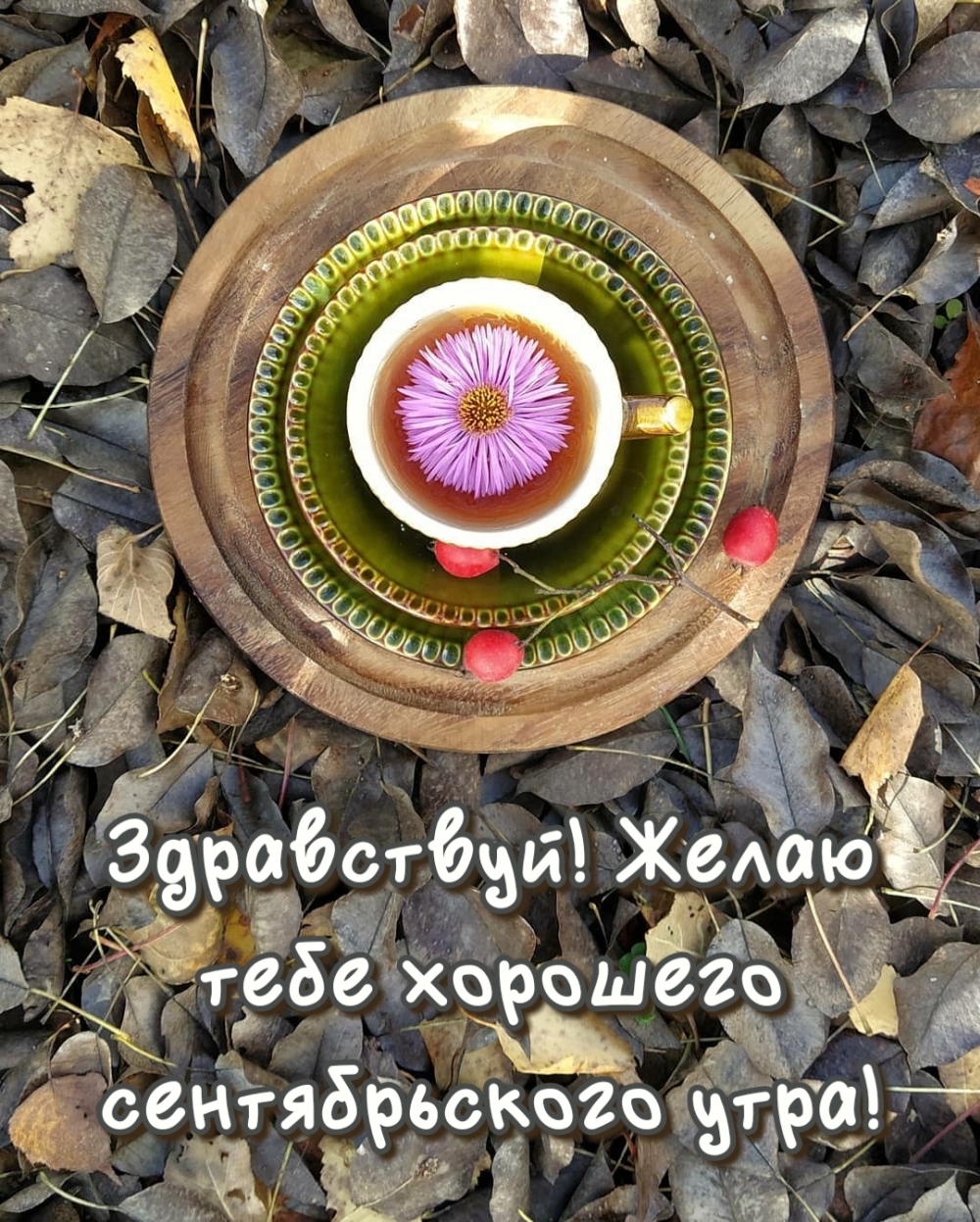 Здравствуй! Желаю тебе хорошего сентябрьского утра!