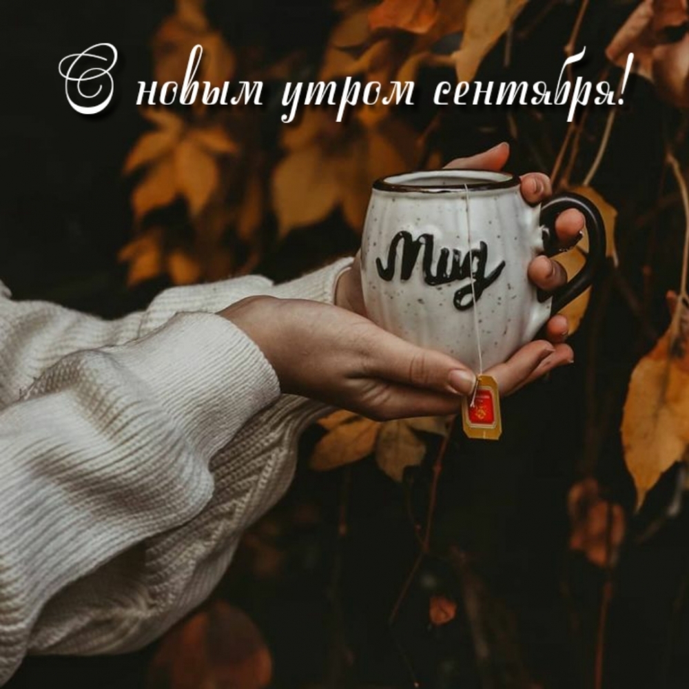 Картинка - С новым утром сентября!.