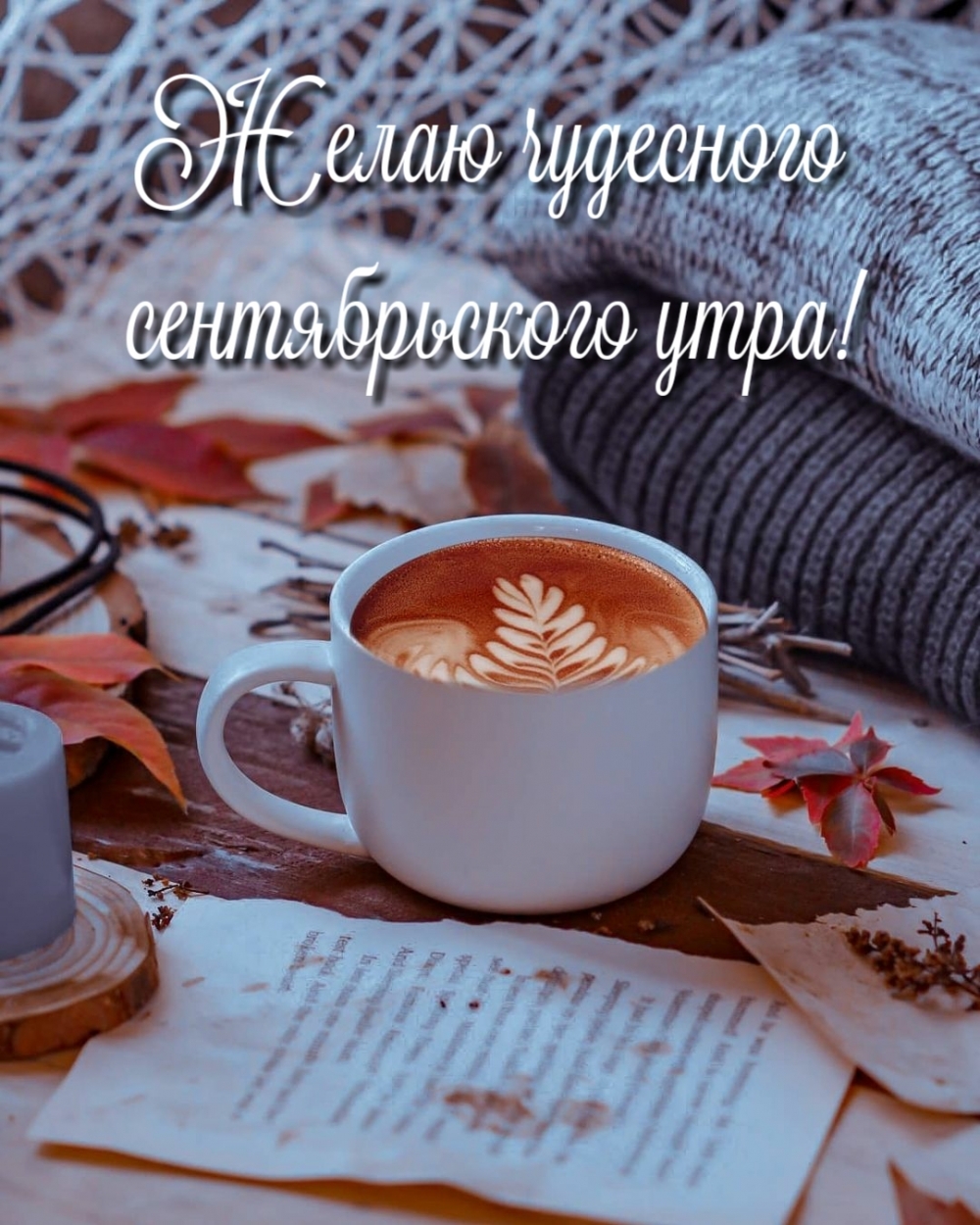 Желаю чудесного сентябрьского утра!