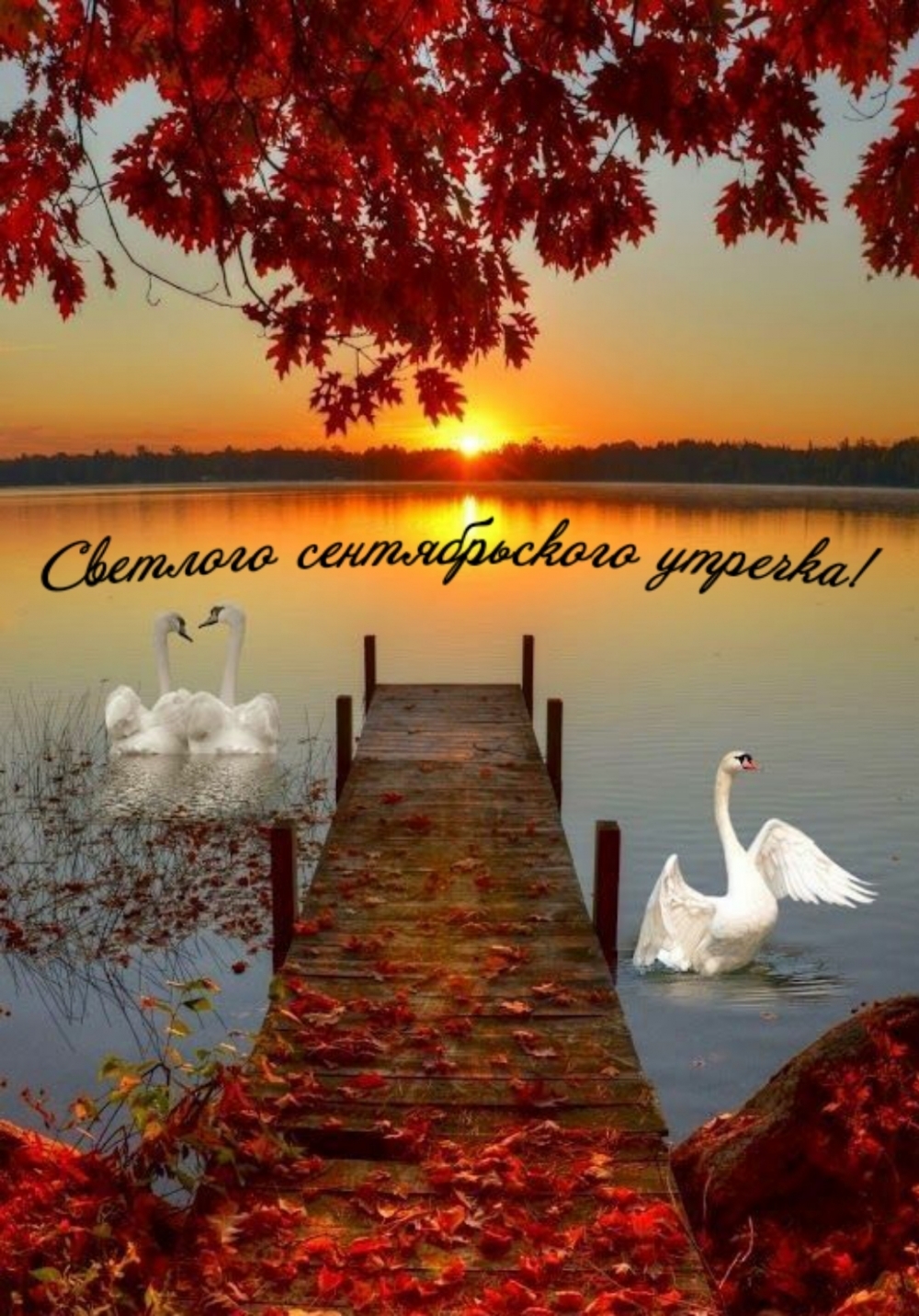 Светлого сентябрьского утречка!