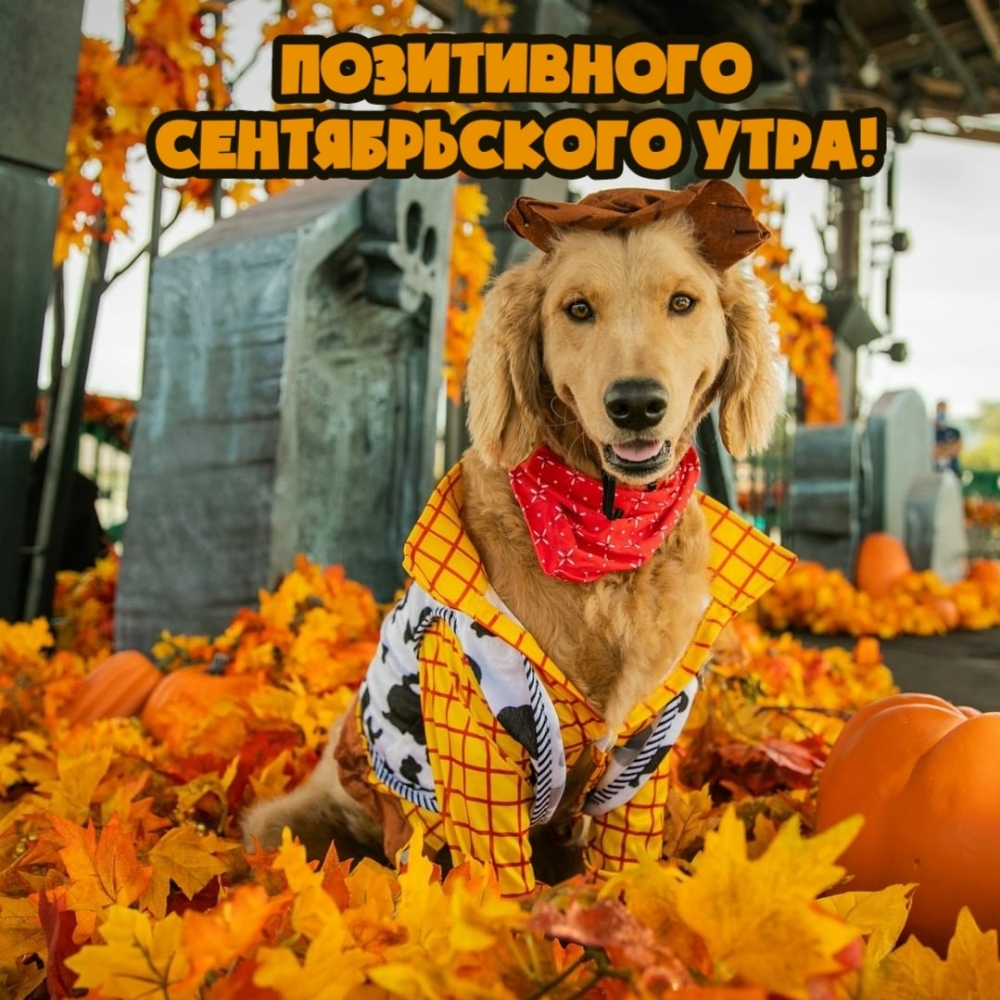 Позитивного сентябрьского утра!