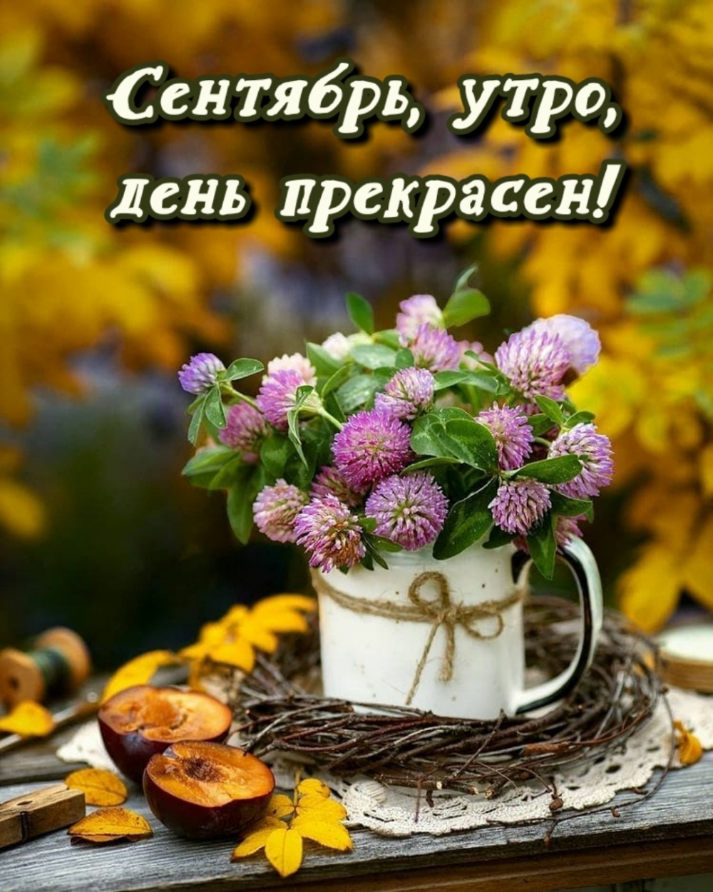 Сентябрь, утро, день прекрасен!
