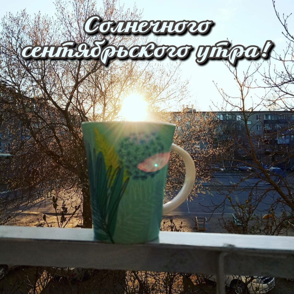 Солнечного сентябрьского утра!
