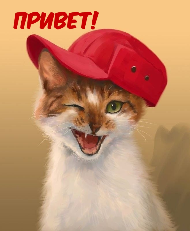 Привет!
