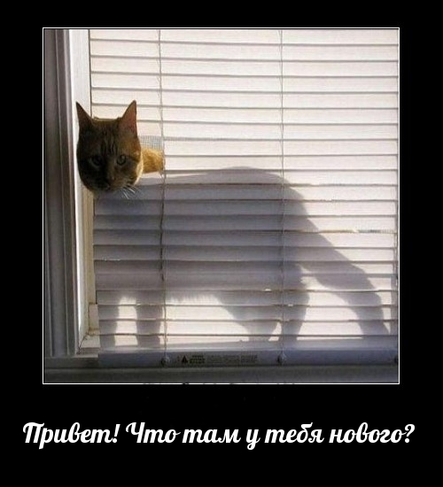 Привет! Что там у тебя нового?