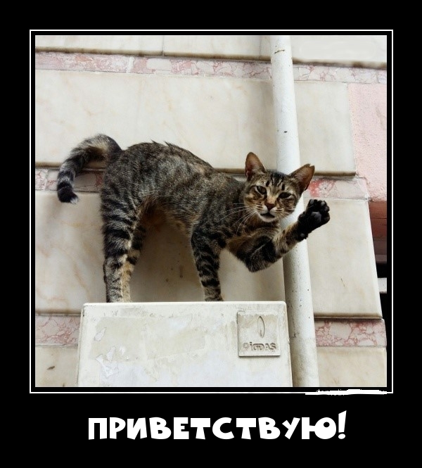Приветствую!
