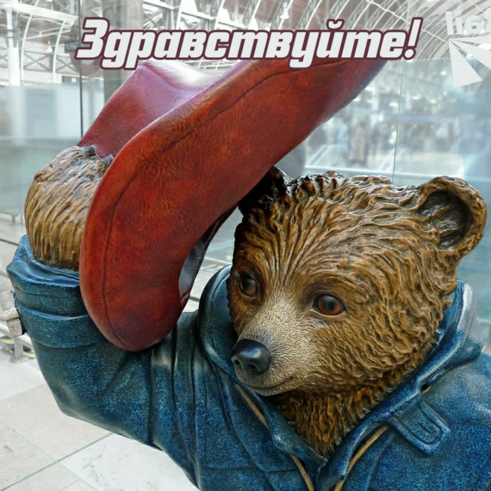 Здравствуйте!