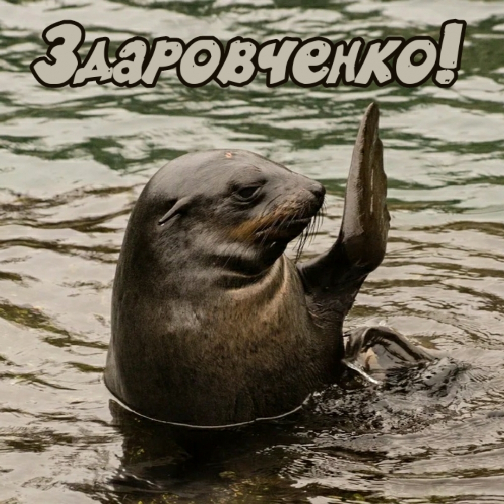 Здаровченко!