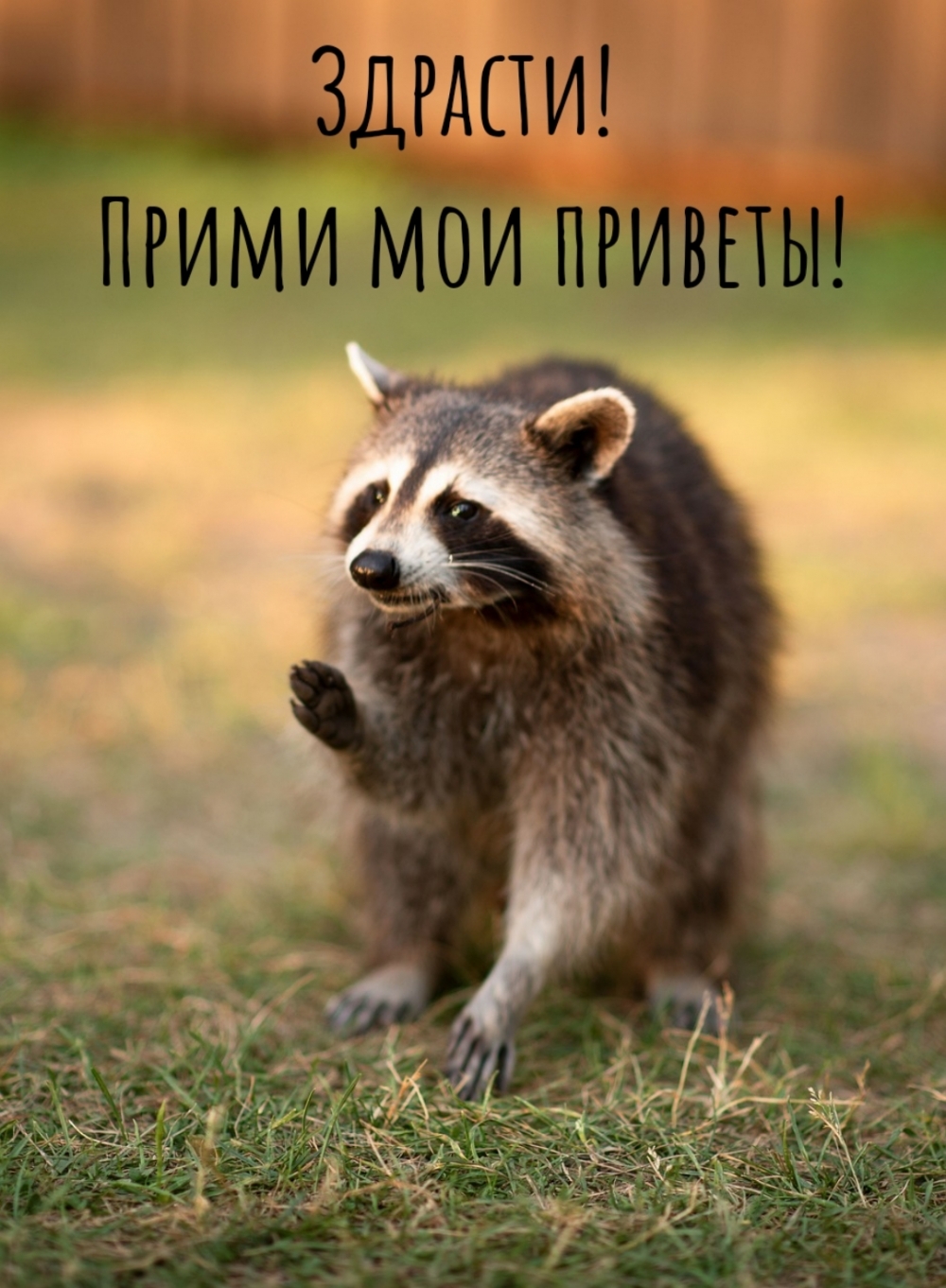 Здрасти! Прими мои приветы!