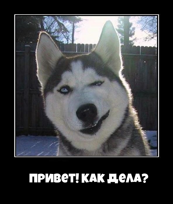 Привет! Как дела?