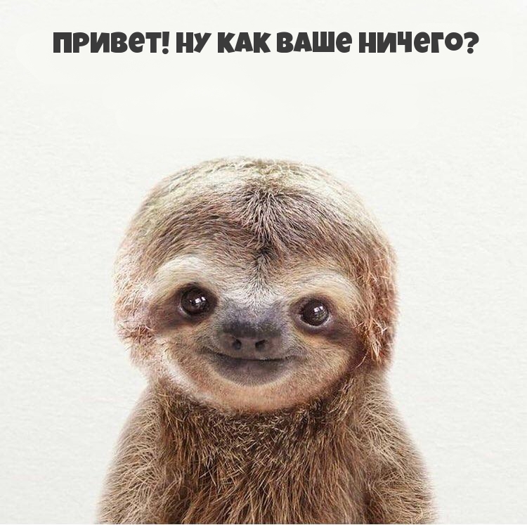 Привет! Ну как ваше ничего?