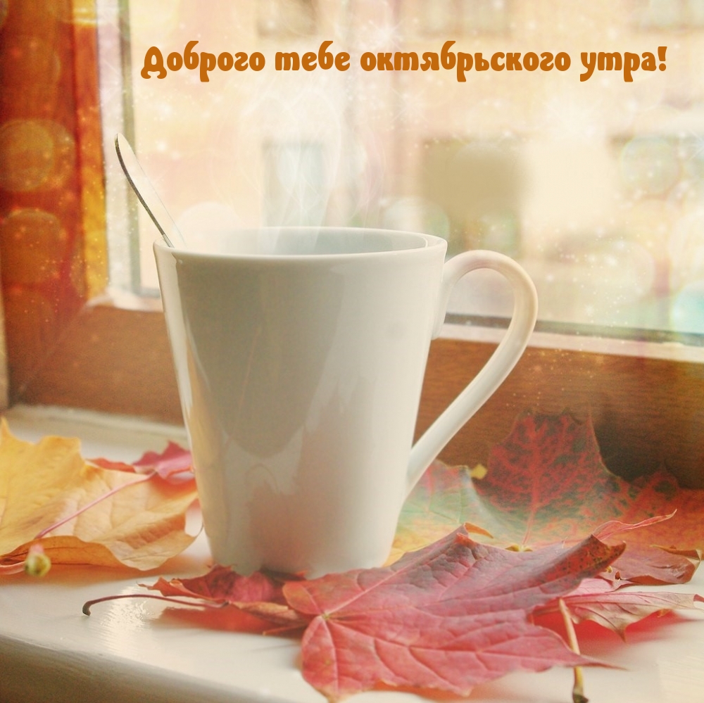 Доброго тебе октябрьского утра!