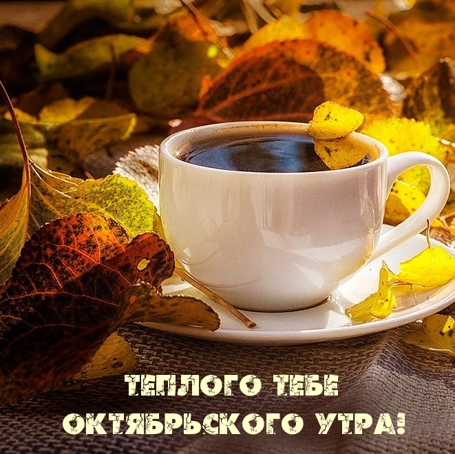 Теплого тебе октябрьского утра!