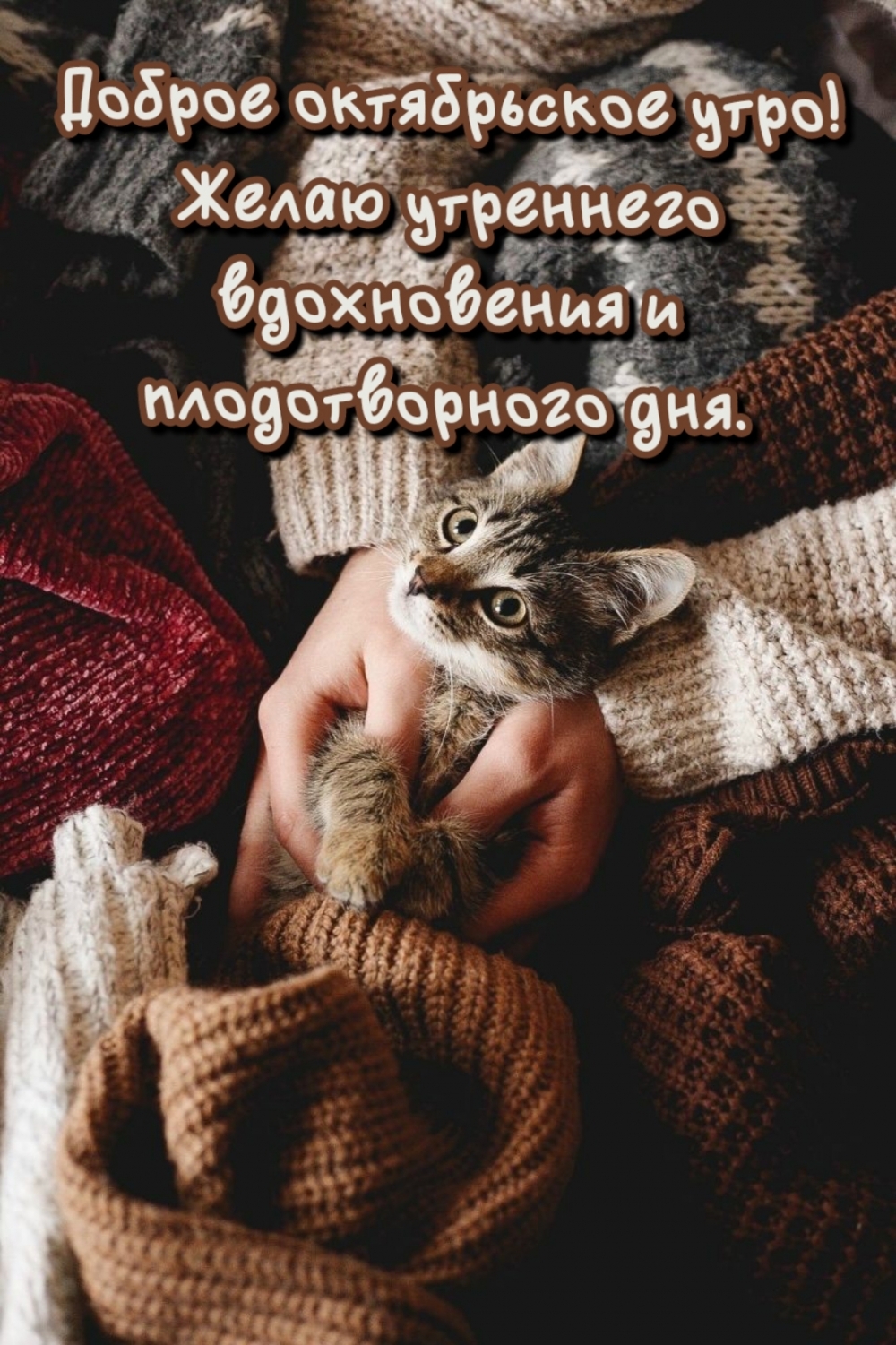 Доброе октябрьское утро!