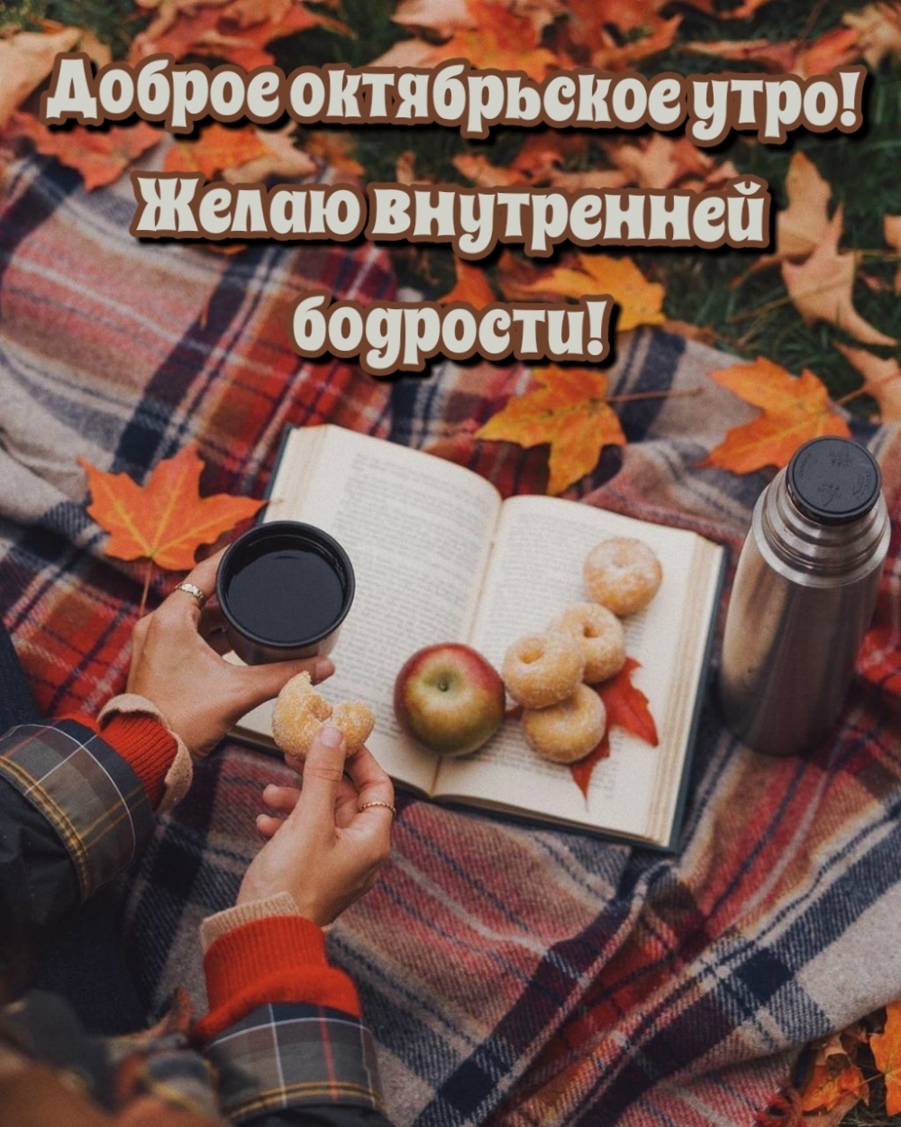 Доброе октябрьское утро! Желаю внутренней бодрости!