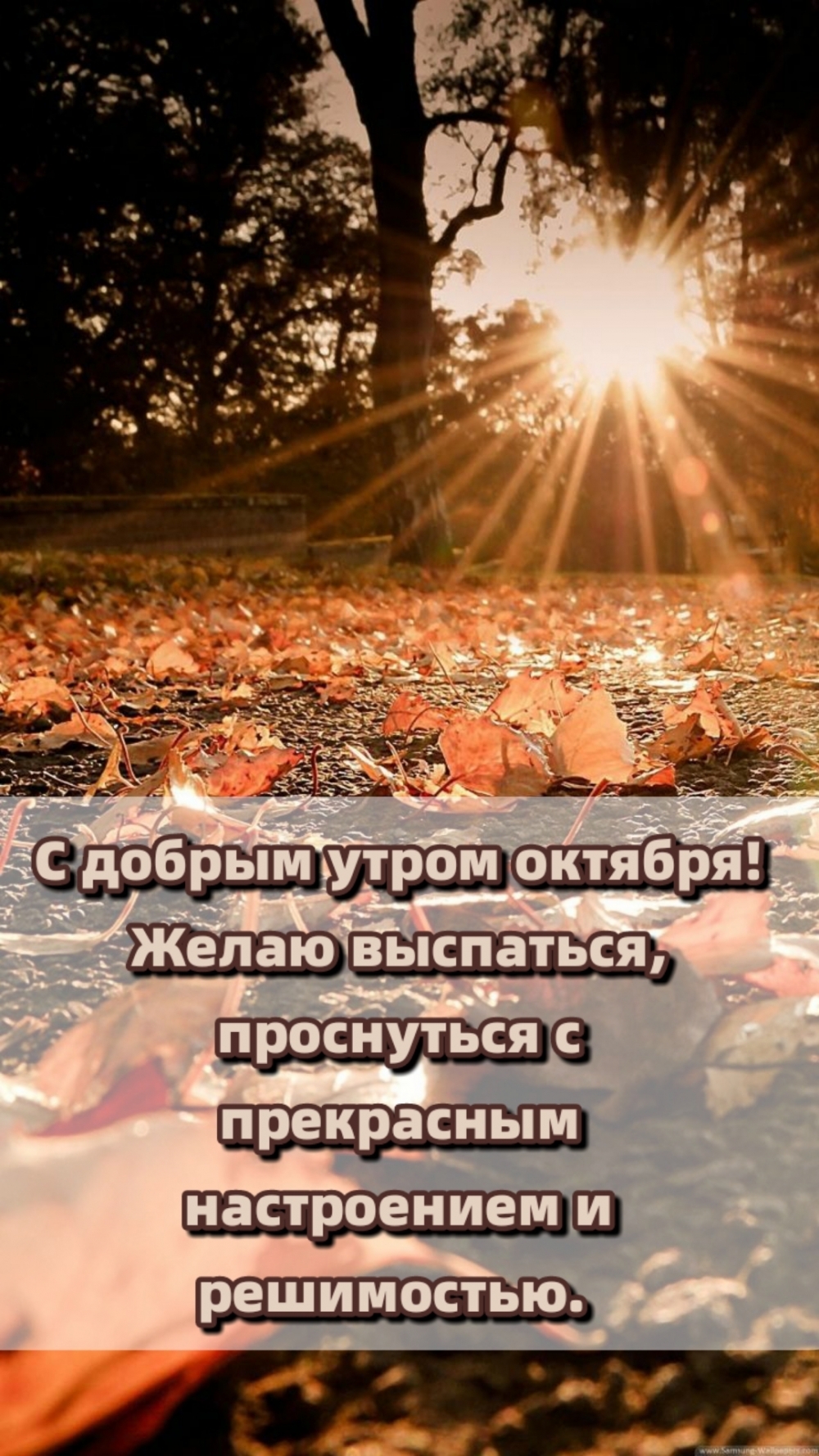 С добрым утром октября!