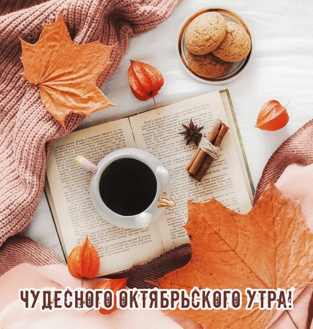 Чудесного октябрьского утра!