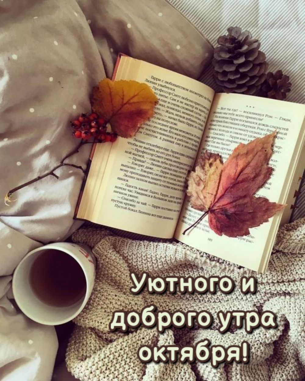 Картинка - Уютного и доброго утра октября!.