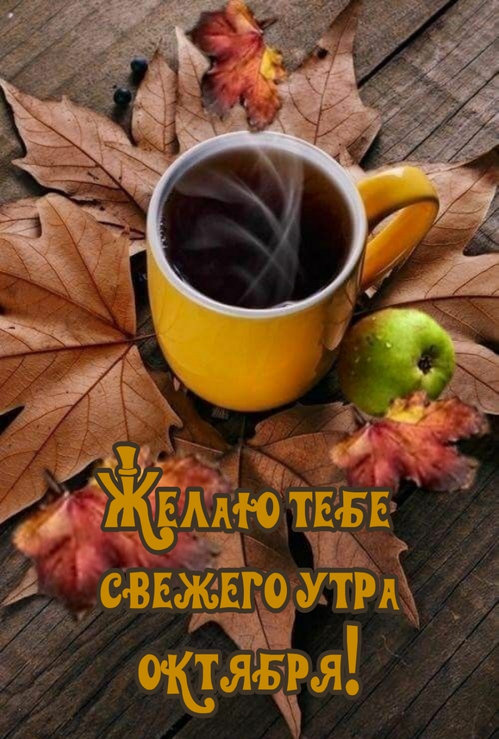 Желаю тебе свежего утра октября!