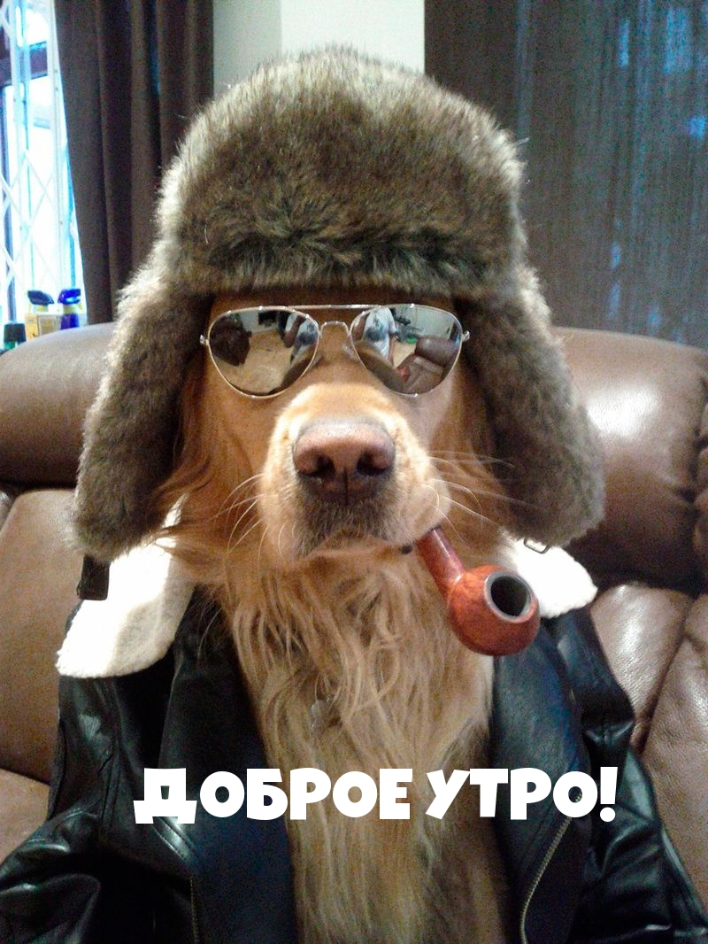 ДОБРОЕ УТРО!