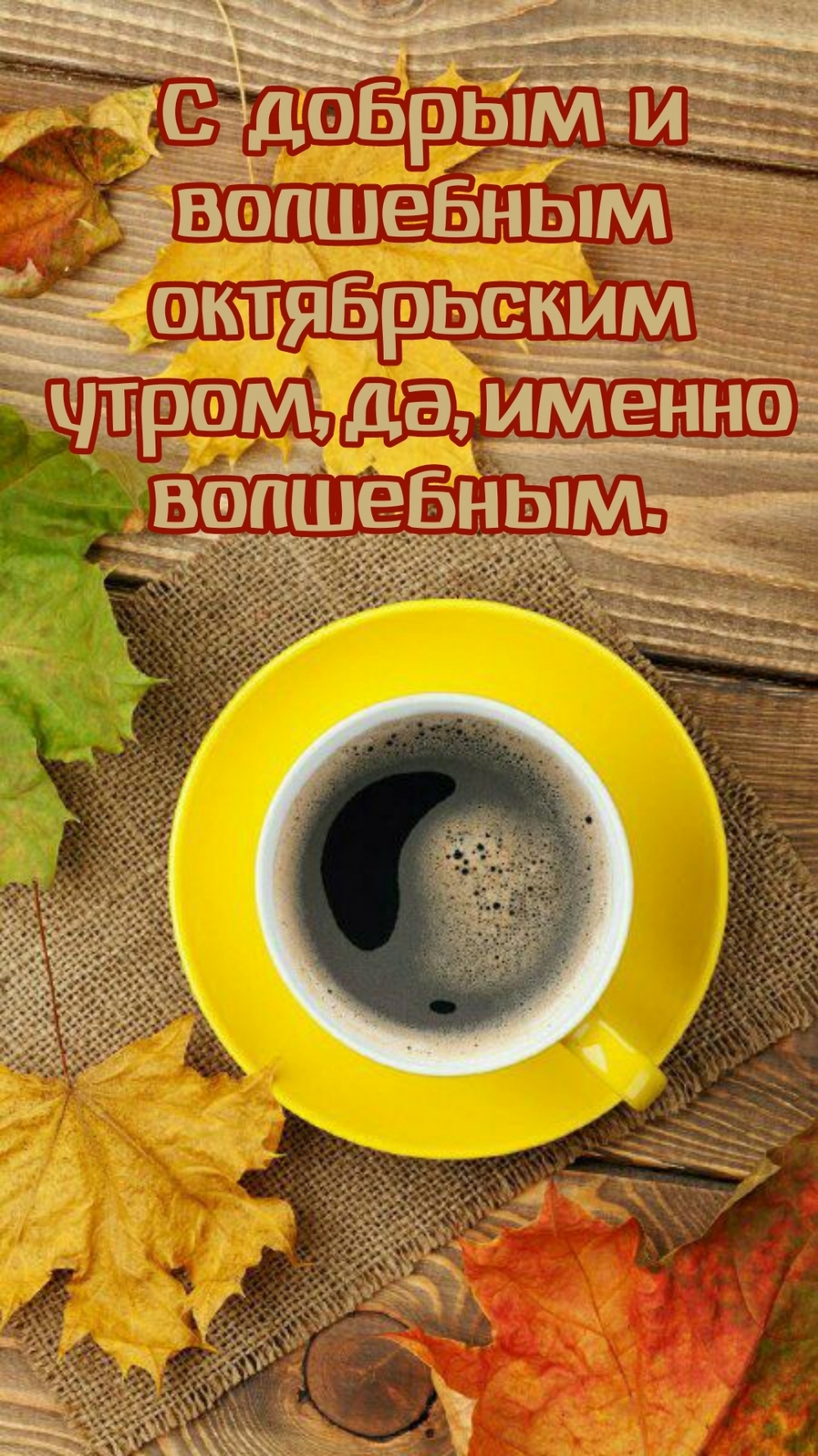 С добрым и волшебным октябрьским утром, да, именно волшебным.