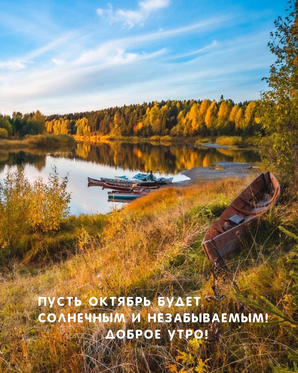 Доброе утро! Пусть октябрь будет солнечным