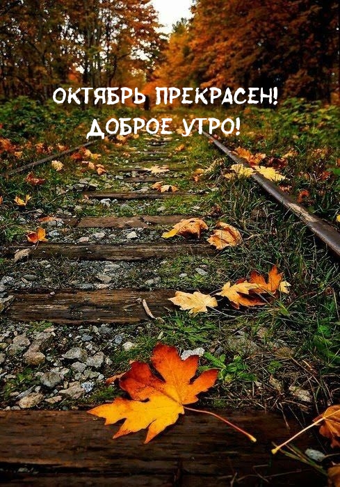 Октябрь прекрасен! Доброе утро!