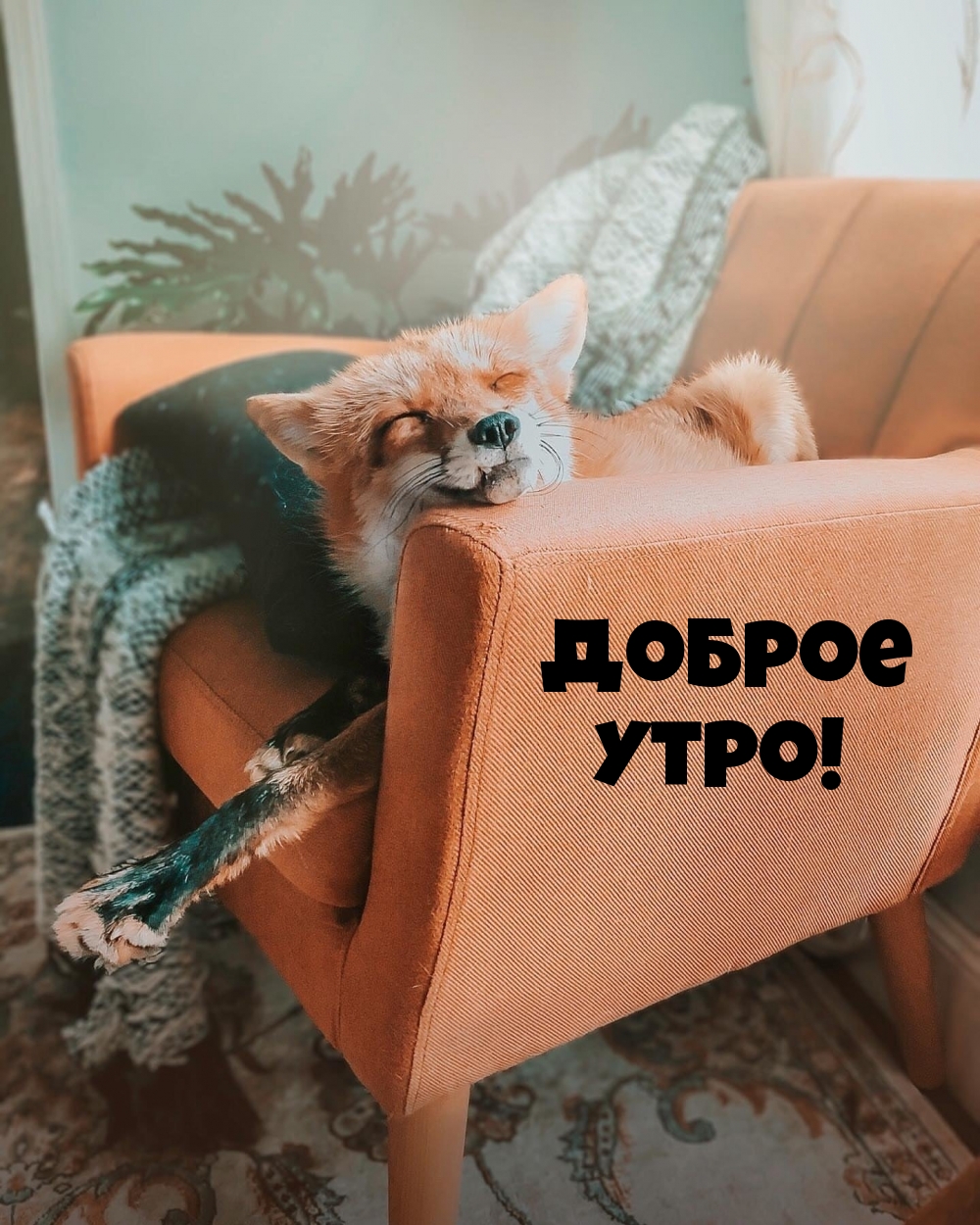 Доброе утро!